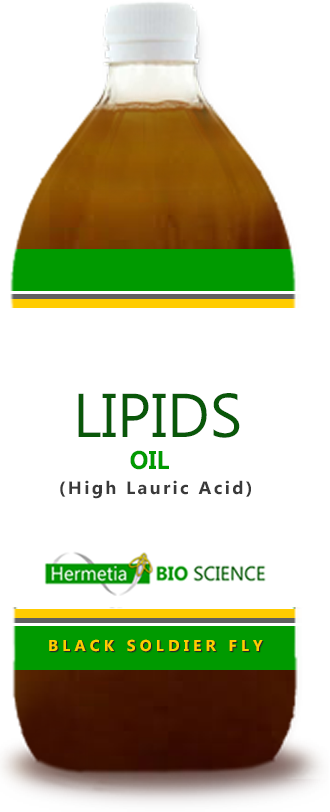 Lipids Oil